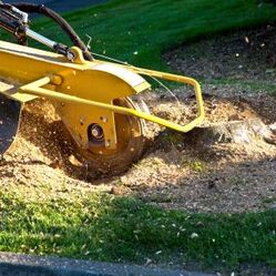 TREE SERVICE NEAR ME - IMAGE OF HESPERIA TREE SERVICE USING EQUIPMENT TO REMOVE A SSTUMP BY GRINDING