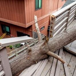 EMERGENCY TREE REMOVAL SERVICE - IMAGE OF A FALLEN TREE THAT HAS LANDED ON AND BROKEN A HOME'S BALCONY 