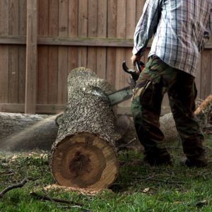 HESPERIA TREE SERVICE NEAR ME - IMAGE MAN CUTTING UP A TREE TRUNK WITH A CHAINSAW THAT IS LYING ON THE GROUND AS HE FINNISHES A TREE REMOVAL 